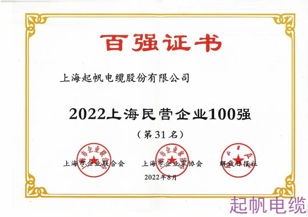 2022年上海民营企业100强