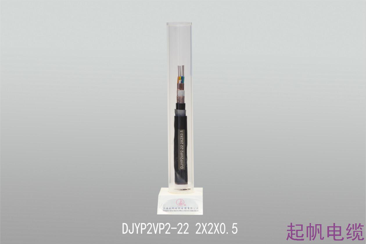 计算机电缆DJYP2VP2-22 2X2X0.5