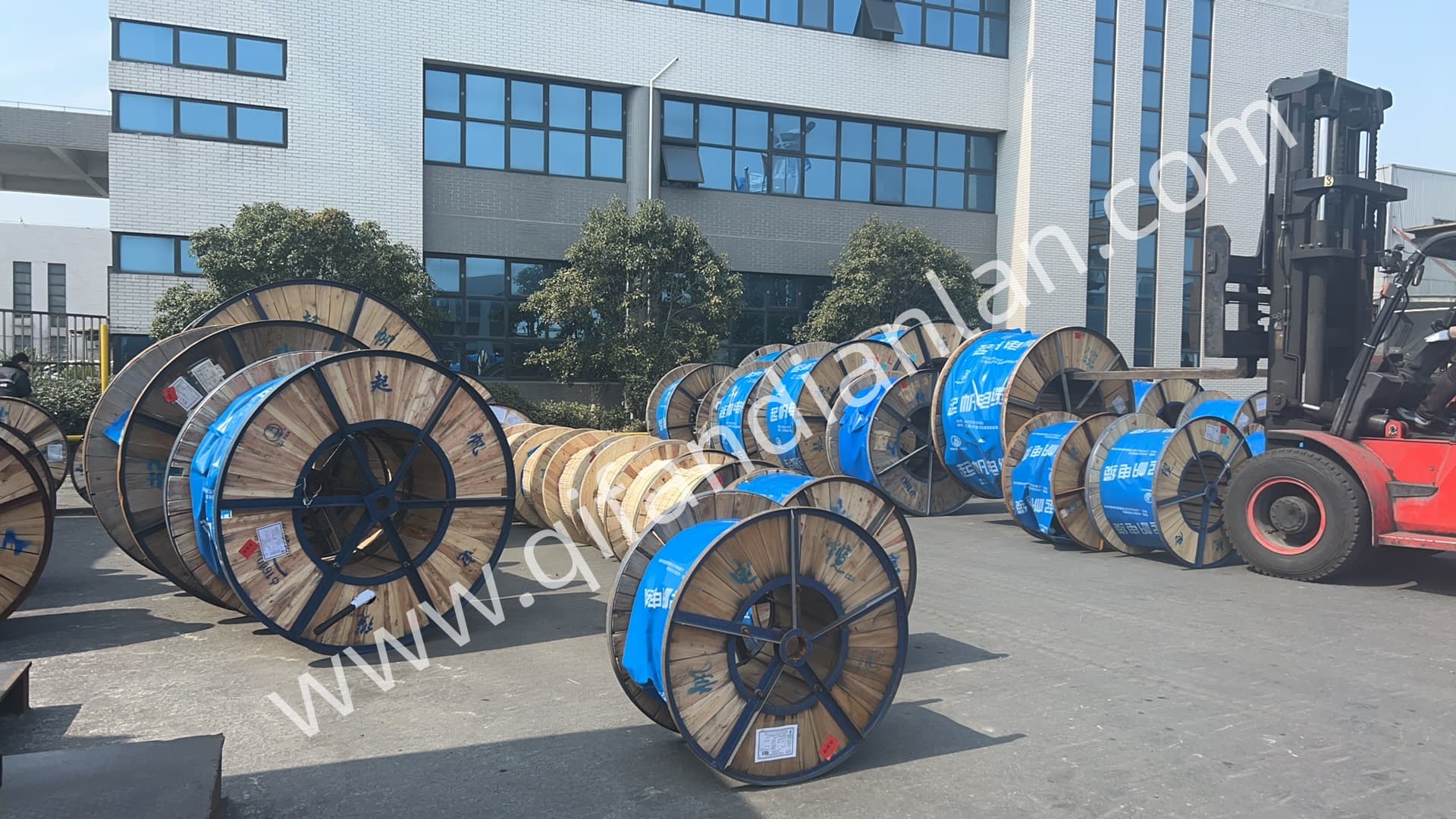 起帆电缆厂区一角(图1)